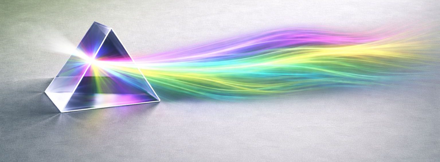 Dr. Jadranka Vasiljević